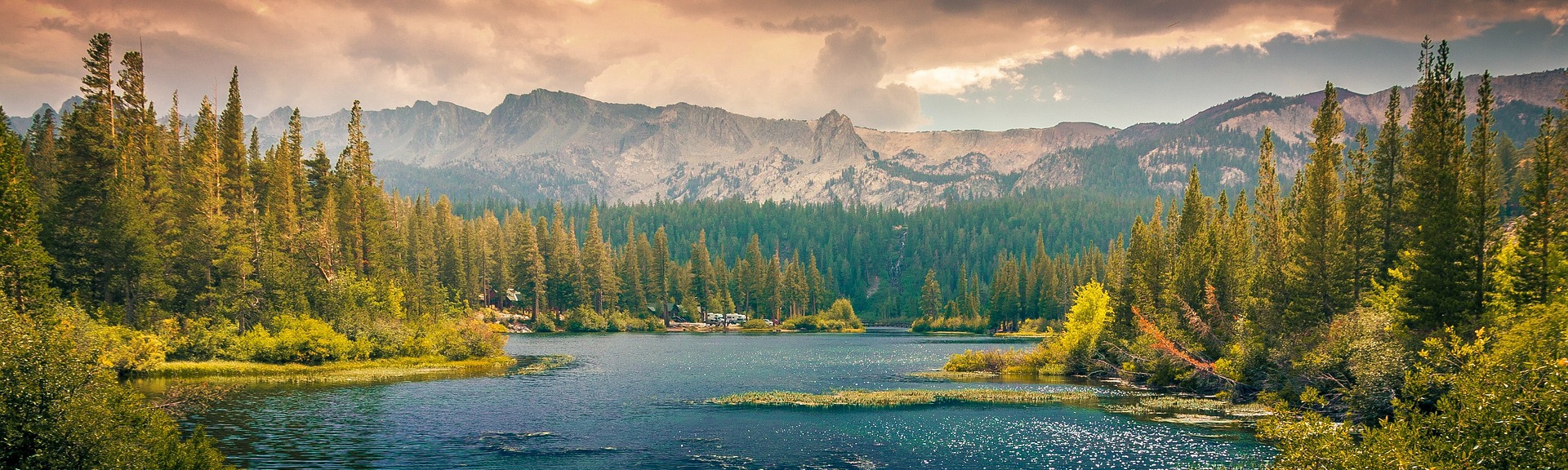 Alexandra Fairthorne